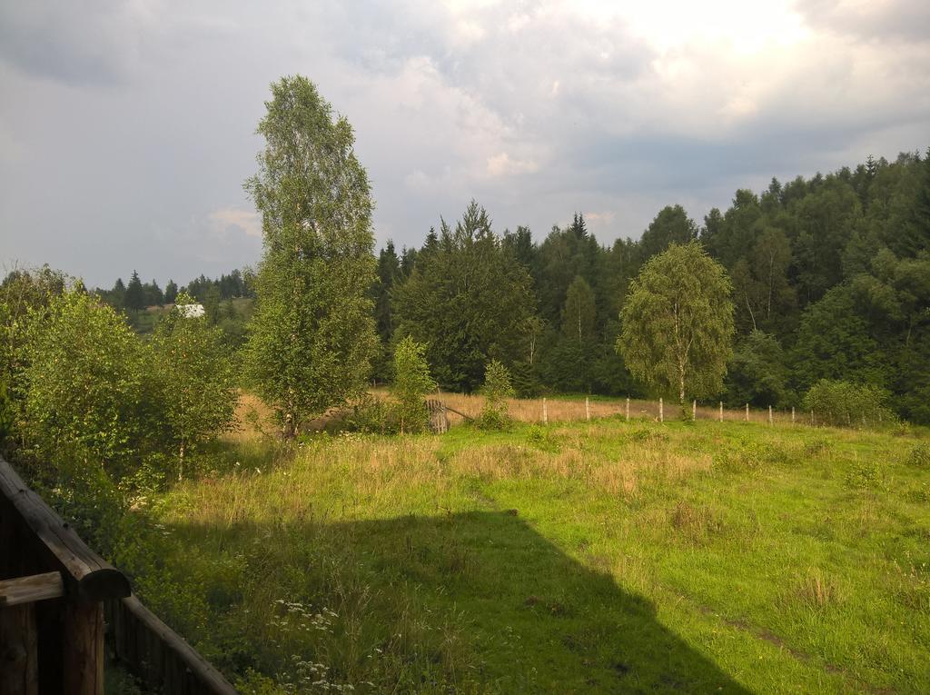 Cabana Belis Dealu Negru Экстерьер фото